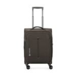 Carlton Unisex Zip Closure Soft Trolley (Brown_57)